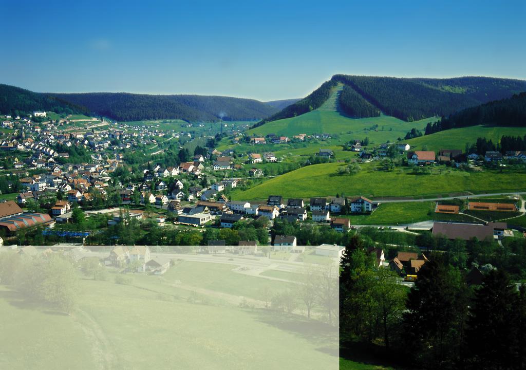 Haus Bergwiese Байрсброн Экстерьер фото