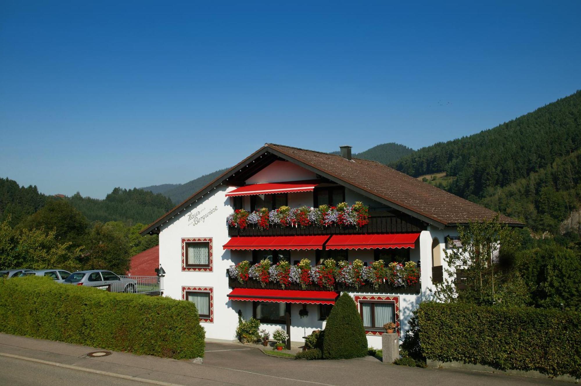 Haus Bergwiese Байрсброн Экстерьер фото